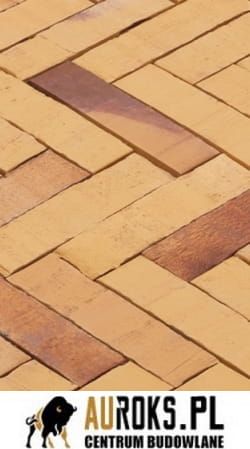 BRUK KLINKIEROWY KOLOR ALT SOLARIS 200x48,5x51 MM LHL KLINKIER.jpg