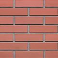 CEGŁA KLINKIEROWA PERFOROWANA KOLOR ALFA RF 250x120x65 MM