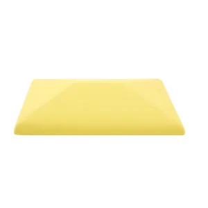 GOŁOWCZYŃSKI CZAPA CP KOLOR NATURALNY ŻÓŁTY 300x425 MM