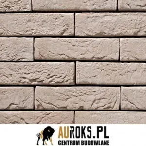 VANDERSANDEN CEGŁA ARGENTIS 43 DF 210x100x65 MM 