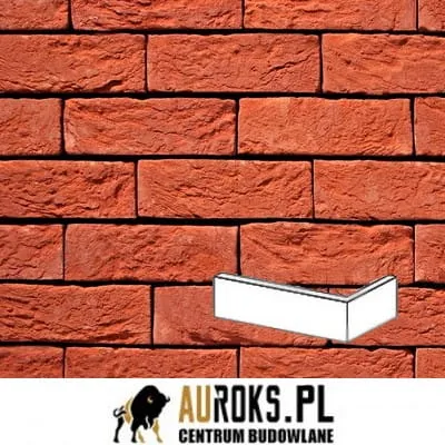 PŁYTKA KĄTOWA TERRA ROOD 11 DF 210x100x65x20 MM RĘCZNIE FORMOWANA VANDERSANDEN.jpg