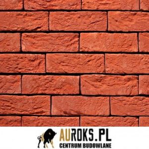 VANDERSANDEN CEGŁA TERRA ROOD 11 DF 210x100x65 MM 