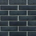 CEGŁA KLINKIEROWA PERFOROWANA KOLOR GALAXY RF 250x120x65 MM