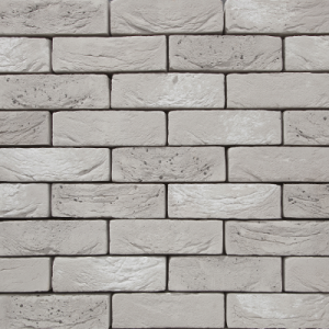 VANDERSANDEN CEGŁA REGA 123 DF 210x100x65 MM