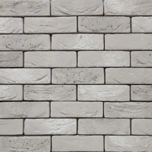 VANDERSANDEN CEGŁA REGA 123 DF 210x100x65 MM