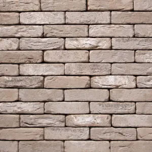 VANDERSANDEN  CEGŁA CRONUS ANTIEK 107 DF 210x100x65 MM