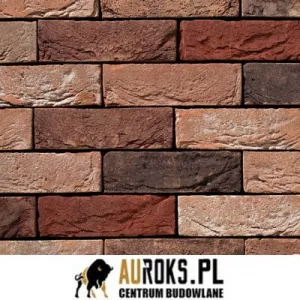 VANDERSANDEN CEGŁA ARIANE 589 DF 210x100x65 MM 