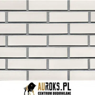 CEGŁA KLINKIEROWA PERFOROWANA KOLOR WENUS RF 250x120x65 MM CRH - LHL KLINKIER .jpg