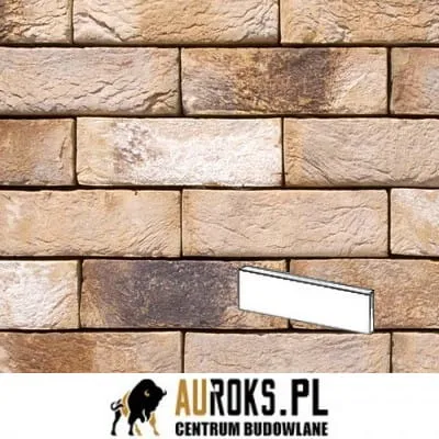 PŁYTKA LIGURE 81 DF 210x20x65 MM RĘCZNIE FORMOWANA VANDERSANDEN.jpg