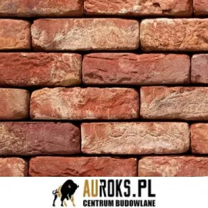 VANDERSANDEN CEGŁA OUD BRABANT 60 DF 210x100x65 MM 