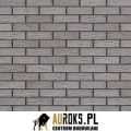 PŁYTKA KLINKIEROWA KOLOR ARCTIC STORM NF 71x240x14 MM KLINKIER PRZYSUCHA.jpg