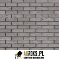 PŁYTKA KLINKIEROWA KOLOR ARCTIC STORM NF 71x240x14 MM KLINKIER PRZYSUCHA.jpg
