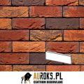 PŁYTKA VICTORIA 594 DF 210x20x65 MM RĘCZNIE FORMOWANA VANDERSANDEN.jpg