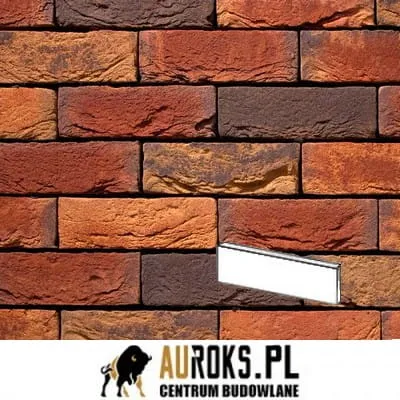 PŁYTKA VICTORIA 594 DF 210x20x65 MM RĘCZNIE FORMOWANA VANDERSANDEN.jpg