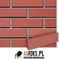 PŁYTKI KLINKIEROWE KOLOR ALFA 250x10x65 MM CRH - LHL KLINKIER.jpg