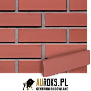 LODE PŁYTKA KLINKIEROWA KOLOR ALFA 250x10x65 MM