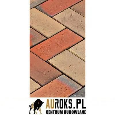 BRUK KLINKIEROWY KOLOR ARGON 200x100x52 MM LHL KLINKIER.jpg