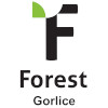 FOREST GORLICE